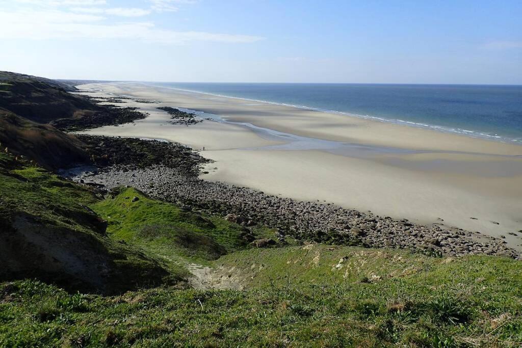 Les Oyats   à 400 M De La Équihen-Plage